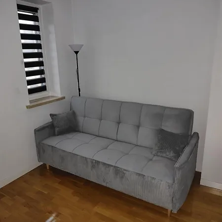 Willa Zuzanna Apartamenty, Wczesniej Willa Italia Ustron Exterior photo